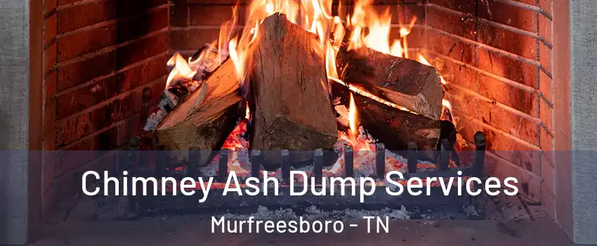 Chimney Ash Dump Services Murfreesboro - TN