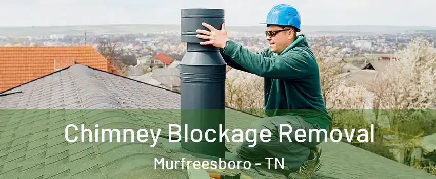 Chimney Blockage Removal Murfreesboro - TN