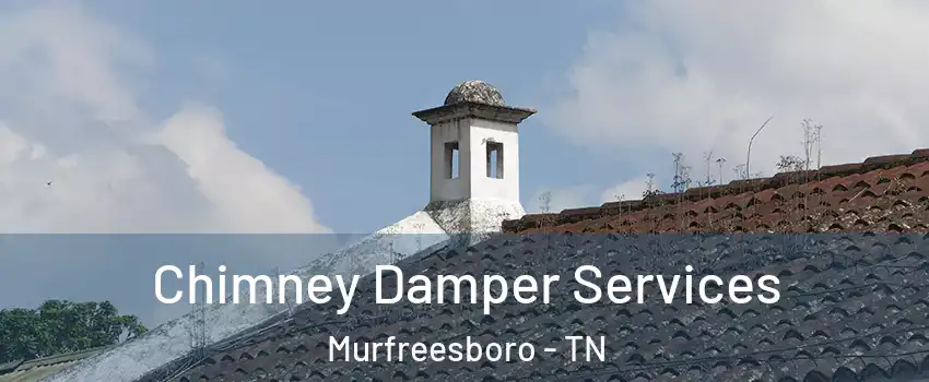 Chimney Damper Services Murfreesboro - TN