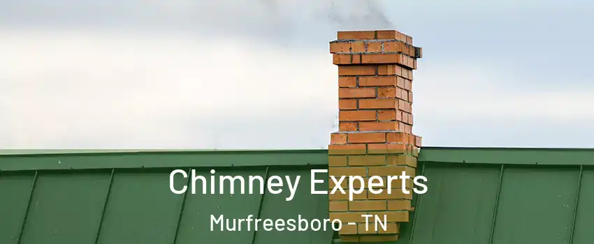 Chimney Experts Murfreesboro - TN