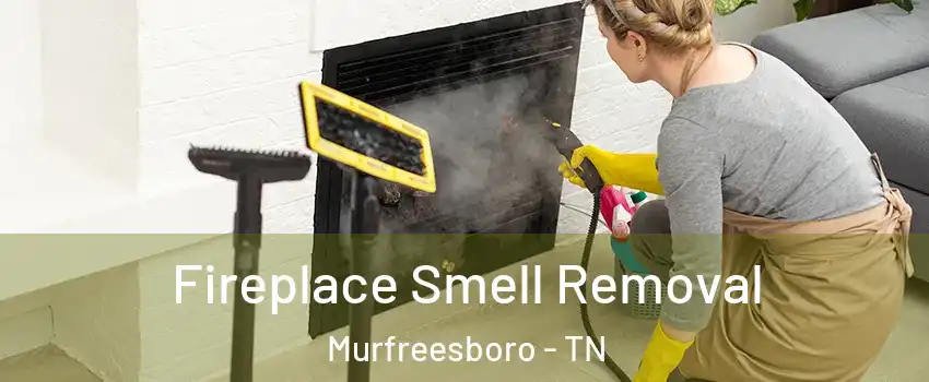 Fireplace Smell Removal Murfreesboro - TN