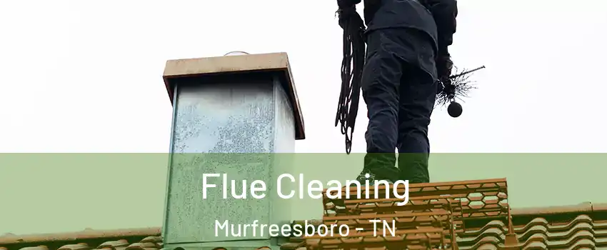 Flue Cleaning Murfreesboro - TN
