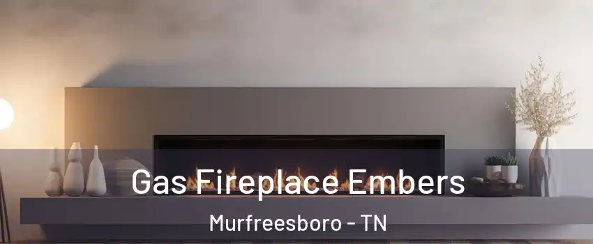 Gas Fireplace Embers Murfreesboro - TN