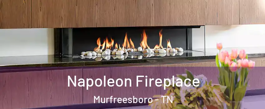Napoleon Fireplace Murfreesboro - TN